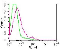 Monoclonal Antibody to Rat NKp46 (Clone: WEN23) FITC Conjugated